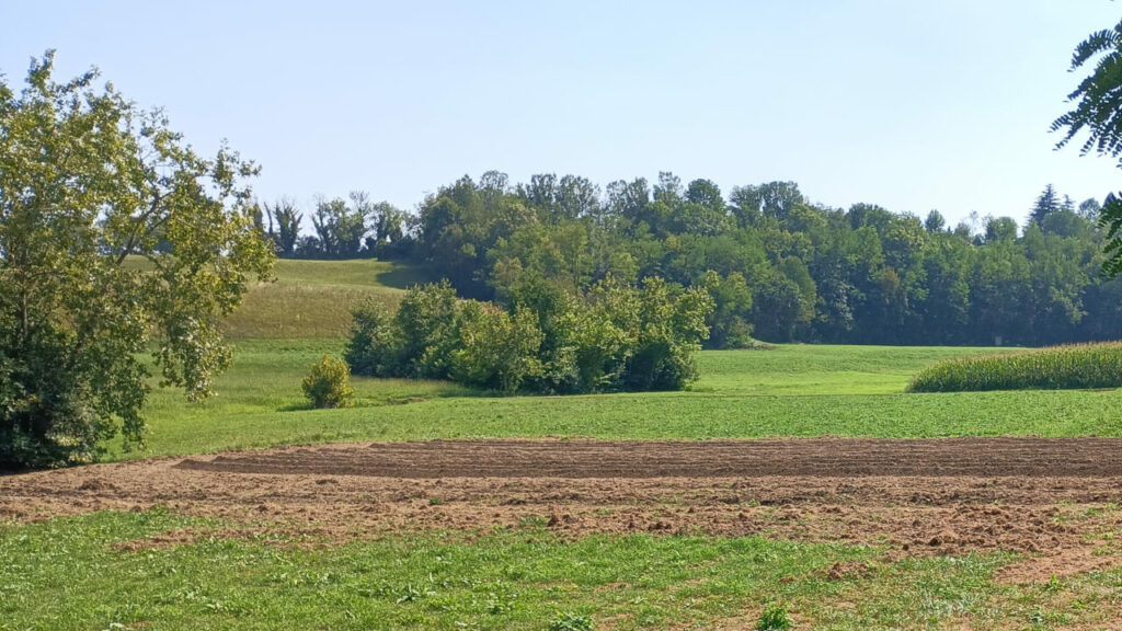 L'Arena della Sostenibilità